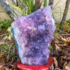 Druse d'Améthyste Uruguay sur socle 1,46kg (rechargement des pierres - élévation spirituelle) geode [mes jolis cristaux]