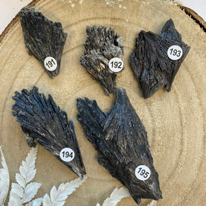 Cyanite noire (forte protection énergétique) pierres brutes [mes jolis cristaux]
