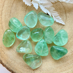 Fluorite verte (concentration / créativité) pierres roulées [mes jolis cristaux]