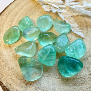 Fluorite verte (concentration / créativité) pierres roulées [mes jolis cristaux]