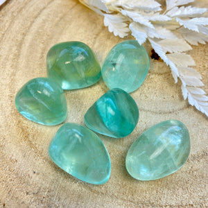 Fluorite verte (concentration / créativité) pierres roulées [mes jolis cristaux]