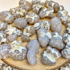 Agate peau de serpent (transformation en sérénité) pierres brutes [mes jolis cristaux]
