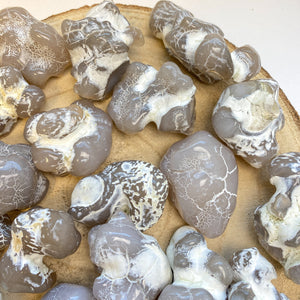 Agate peau de serpent (transformation en sérénité) pierres brutes [mes jolis cristaux]