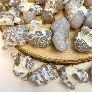 Agate peau de serpent (transformation en sérénité) pierres brutes [mes jolis cristaux]