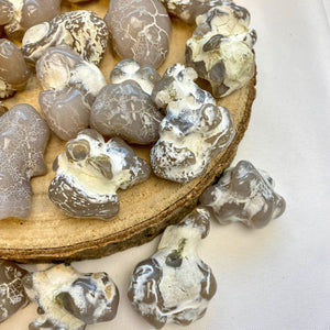 Agate peau de serpent (transformation en sérénité) pierres brutes [mes jolis cristaux]