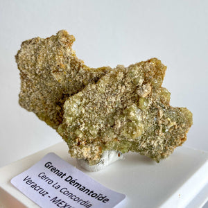 Grenat Démantoïde brut (clarté / équilibre / actions alignées)