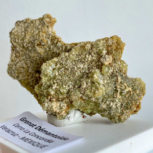Grenat Démantoïde brut (clarté / équilibre / actions alignées)