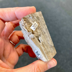 Quartz Lodolite (accès aux plans supérieurs et à ton Akasha)