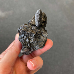 Tourmaline noire brute fibreuse (ancrage / protection)