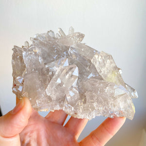 Druse de Quartz / Amas de Quartz (amplificateur d'énergie / rechargement)