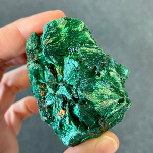 Malachite fibreuse (favorise le changement dans votre vie) cristallina