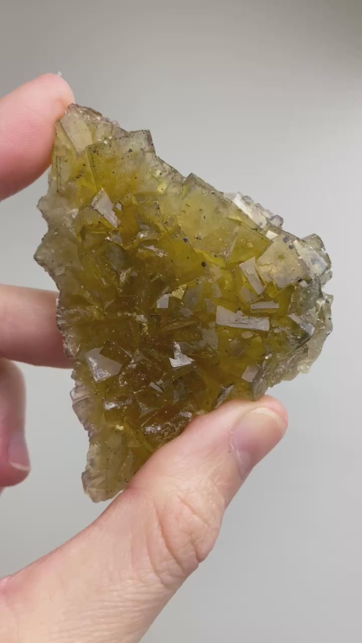 Fluorite verte brute cubique (concentration / créativité)