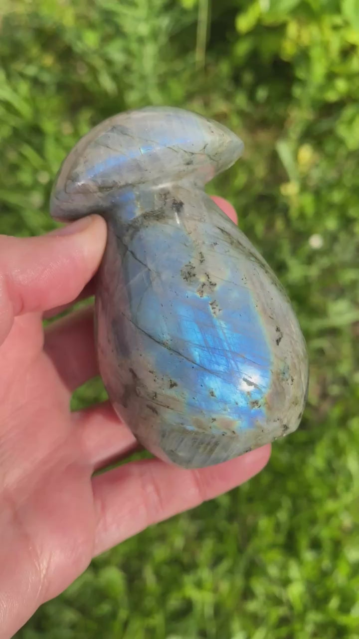 Champignon en Labradorite (pierre de protection)