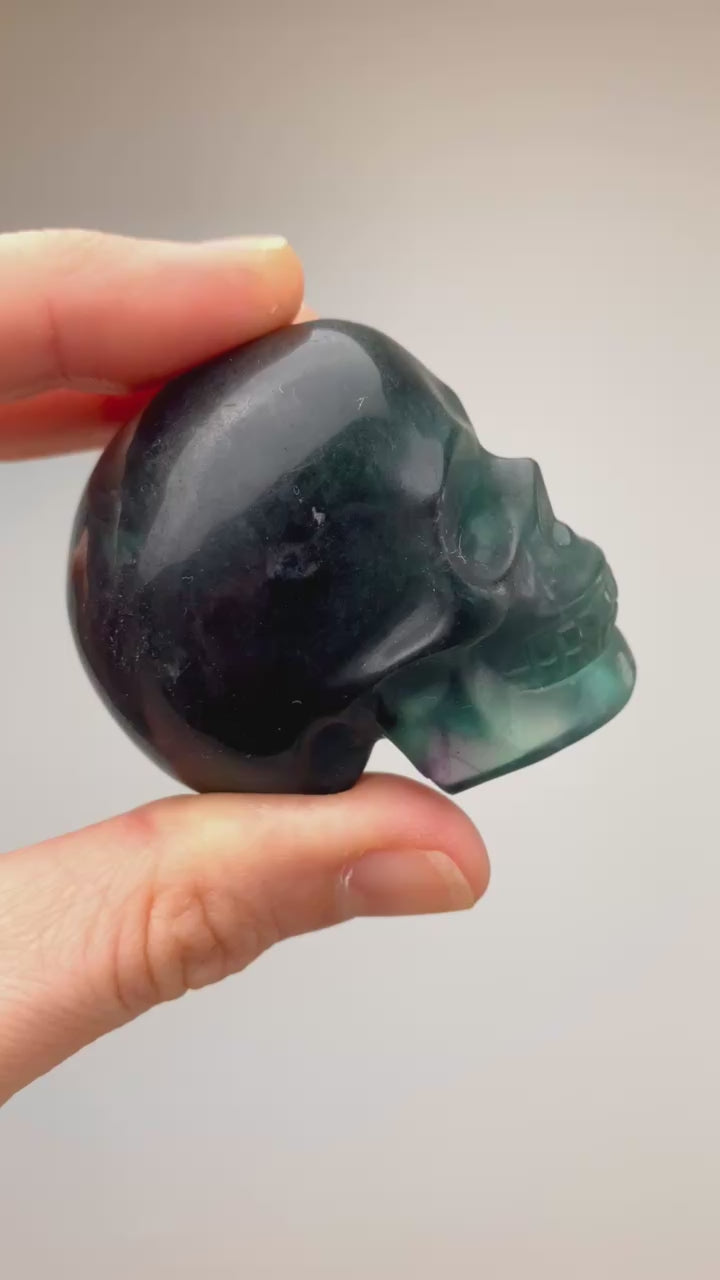 Crâne en Fluorite verte / bleue