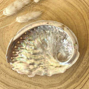 Coquille d'Ormeau / Abalone naturelle purification [mes jolis cristaux]