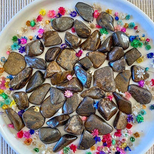 Bronzite (paix / courage / force) pierres roulées [mes jolis cristaux]