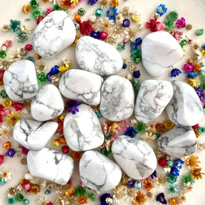 Howlite (concentration / équilibre) pierres roulées [mes jolis cristaux]