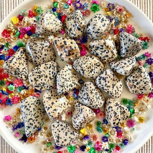 Jaspe Dalmatien (dépasser les blocages / équilibre yin yang) pierres roulées [mes jolis cristaux]