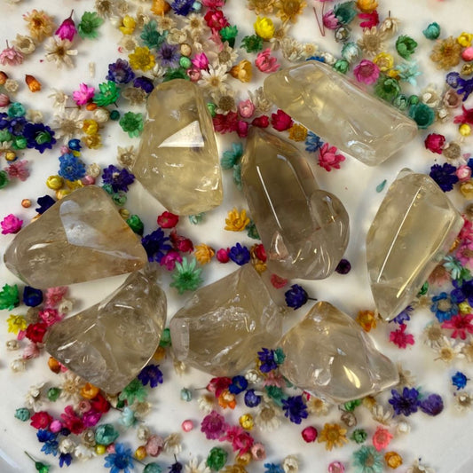 Citrine naturelle (abondance / joie) pierres roulées [mes jolis cristaux]