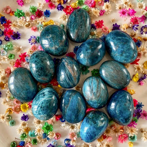 Apatite bleue (régule les émotions / clarté mentale) pierres roulées [mes jolis cristaux]