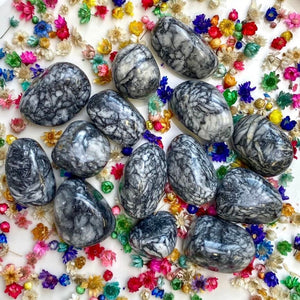Pinolite (anti-stress / apaise la colère) pierres roulées [mes jolis cristaux]