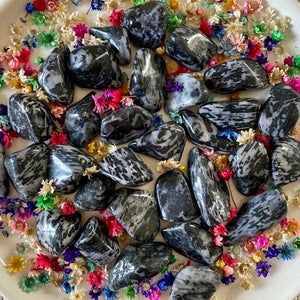 Gabbro (nouveau départ dans votre vie) pierres roulées [mes jolis cristaux]