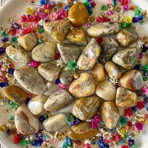 Agate Crazy Lace (protection / dynamise) pierres roulées [mes jolis cristaux]