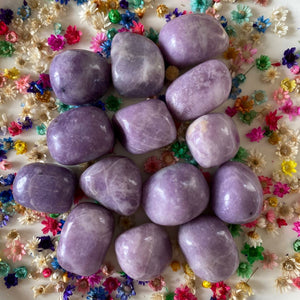Lépidolite (anti-stress / meilleur sommeil) pierres roulées [mes jolis cristaux]